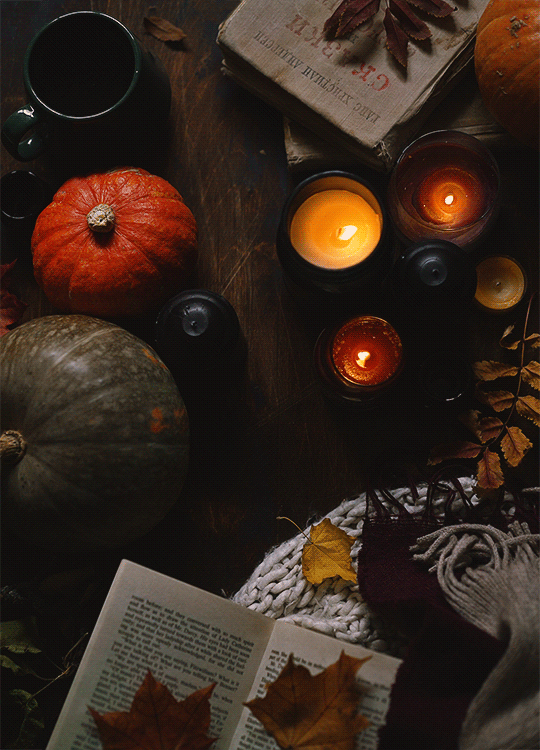 图片[1] 軟件下載 - 免費實用の軟件